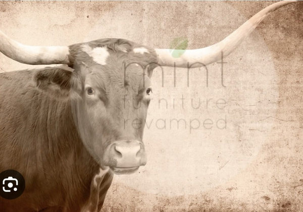 Decoupage Papier Texas Longhorne A3