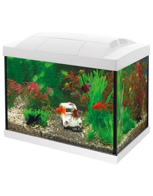SuperFish Aquarium Start 20 Kit Wit