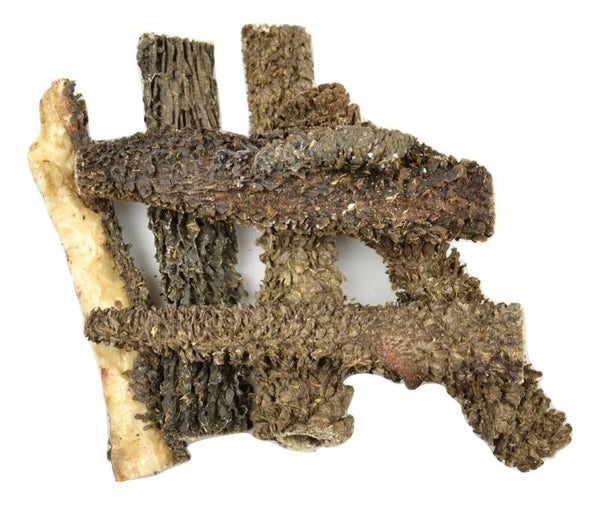 Carnis Pensstaven 1kg