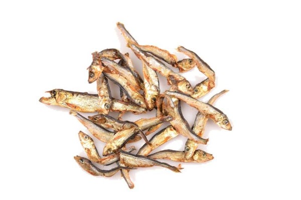 Carnis Spiering 5x250gram