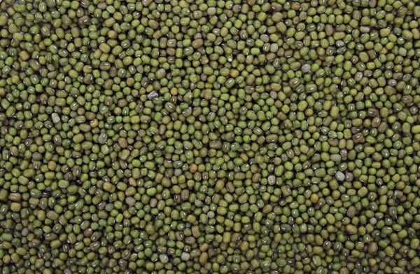 Tijssen Katjang Idjoe 25kg