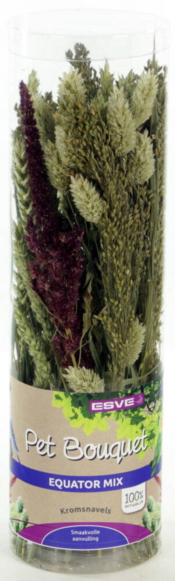 Esve Pet Bouquet Koker Equator 6x6stuks