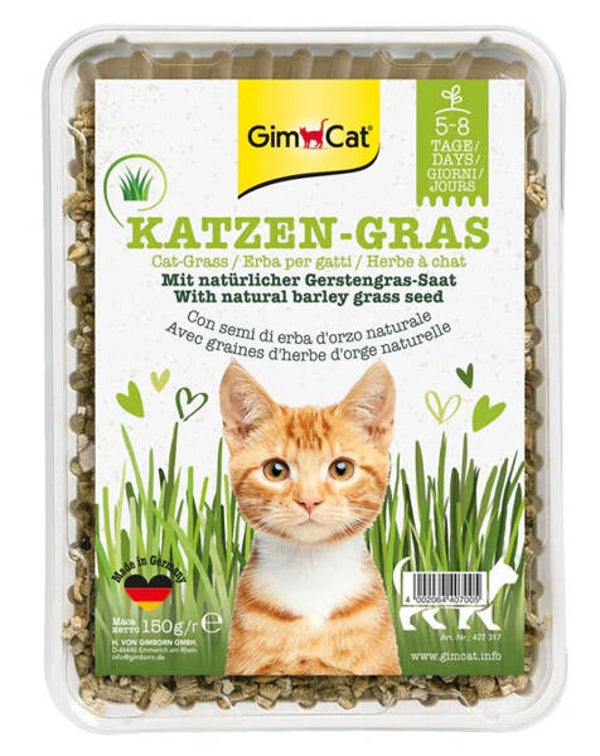 Gimcat Kattengras Natuur 6x150gram