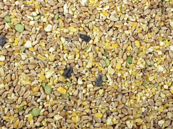 Tijssen Polder Graan 20kg