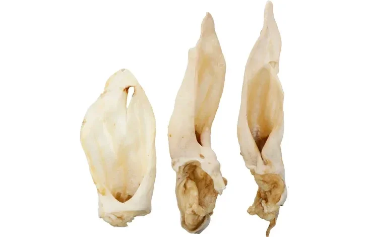 Flamingo Snack Nature Geitenoor 200gram