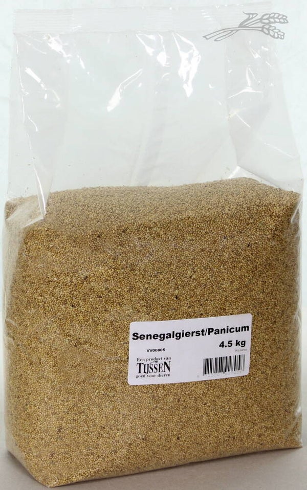 Tijssen Panicum / Senegalgierst 4,5kg