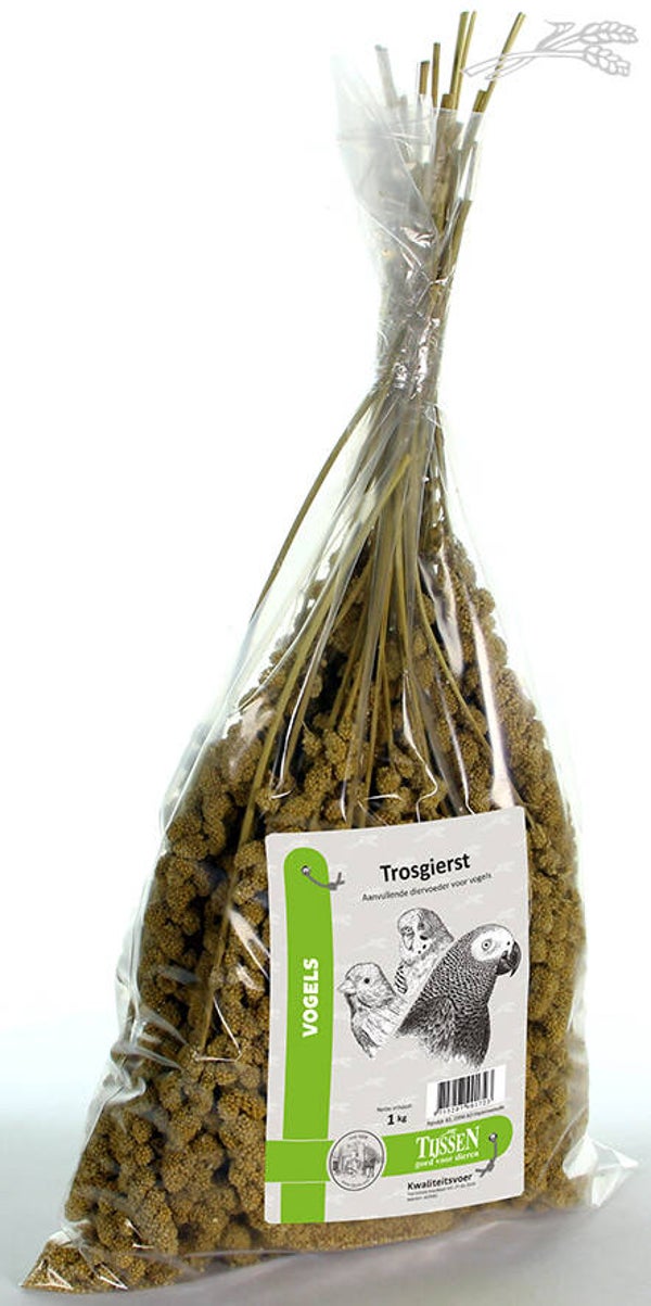 Tijssen Trosgierst 1kg