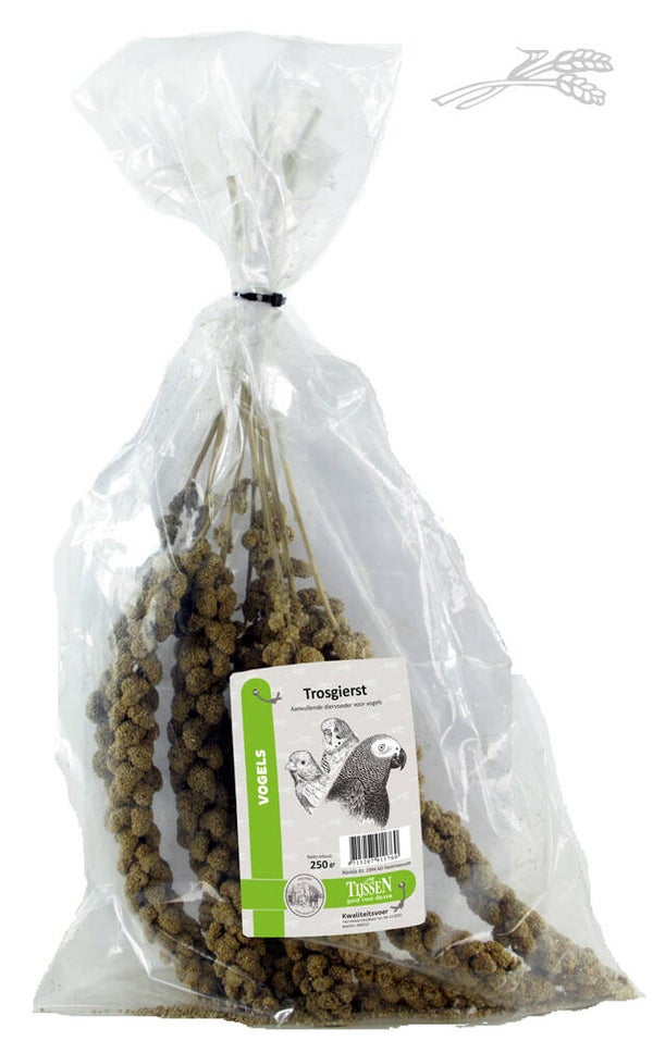 Tijssen Trosgierst 250gram