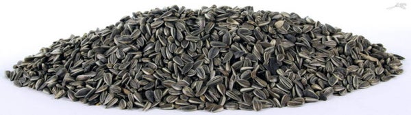 Tijssen Zonnepitten Gestreept 10kg