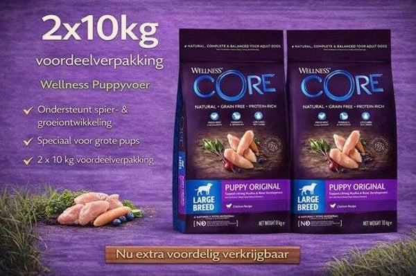 Wellness core Grain Free Large Breed Puppy kip 2x10kg Voordeelverpakking