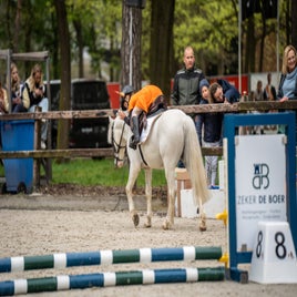 20250423-nk-deurne-bixie-287-standard.jpg