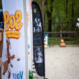 20250423-nk-deurne-bixie-375-standard.jpg