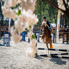 dh-equimoments-nk-zaterdag-soso-169-standard.jpg