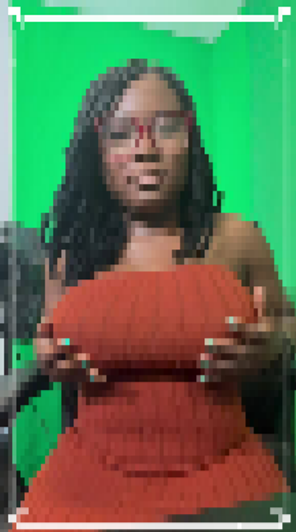 Viral Brown Dress