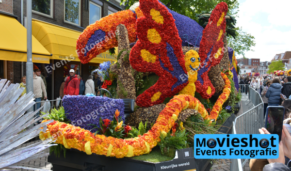 Bloemencorso Haarlem 1