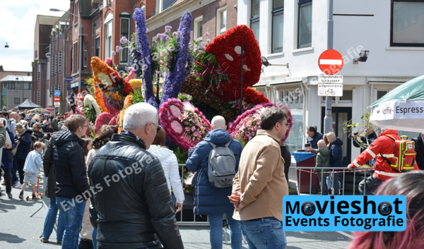 Bloemencorso Haarlem 11