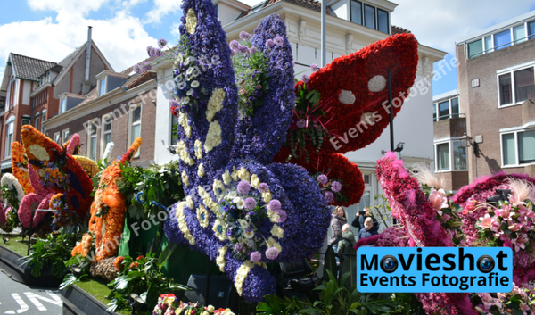 Bloemencorso Haarlem 12