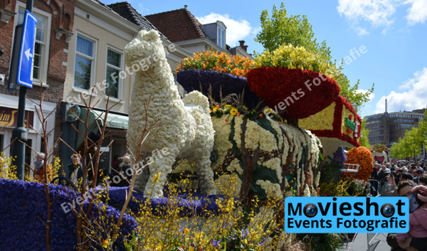 Bloemencorso Haarlem 14