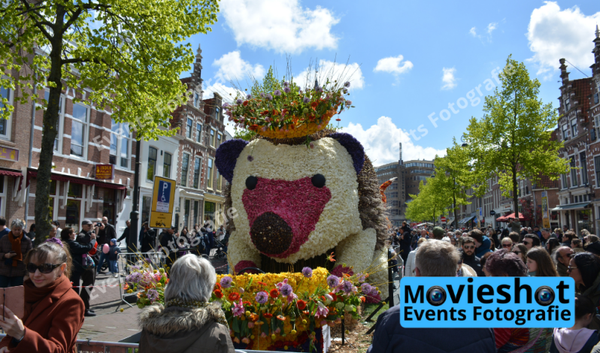 Bloemencorso Haarlem 17