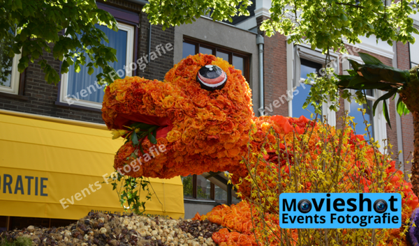 Bloemencorso Haarlem 2