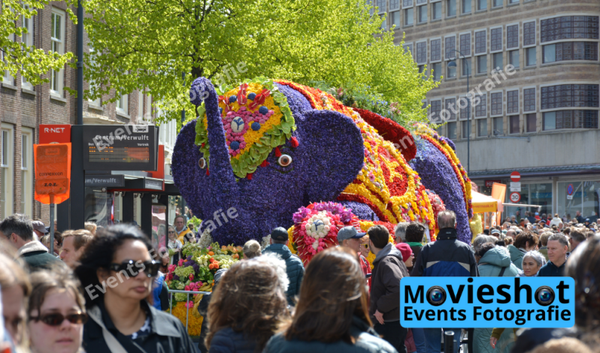 Bloemencorso Haarlem 20