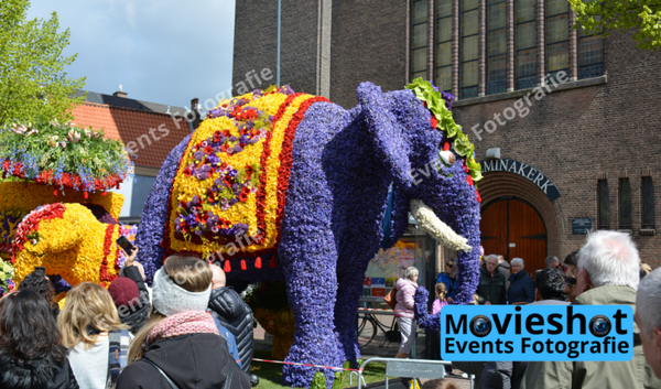 Bloemencorso Haarlem 22
