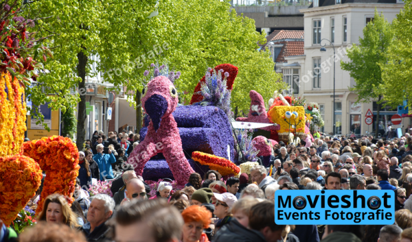 Bloemencorso Haarlem 25