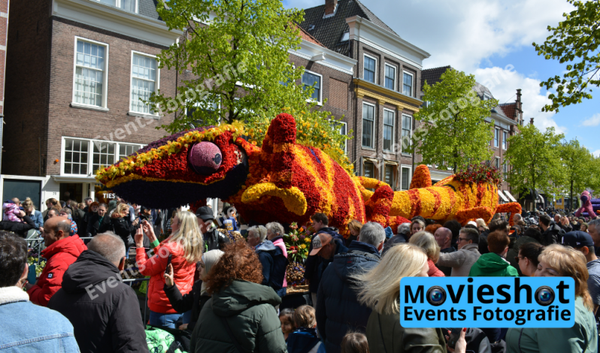 Bloemencorso Haarlem 26