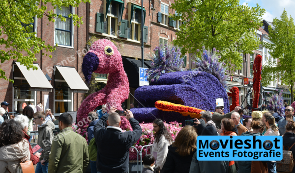 Bloemencorso Haarlem 27