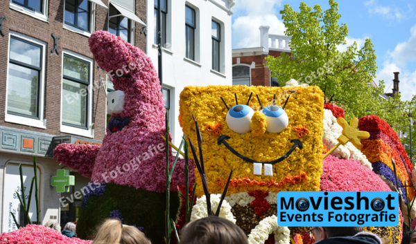 Bloemencorso Haarlem 29