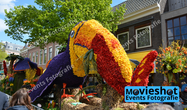 Bloemencorso Haarlem 3