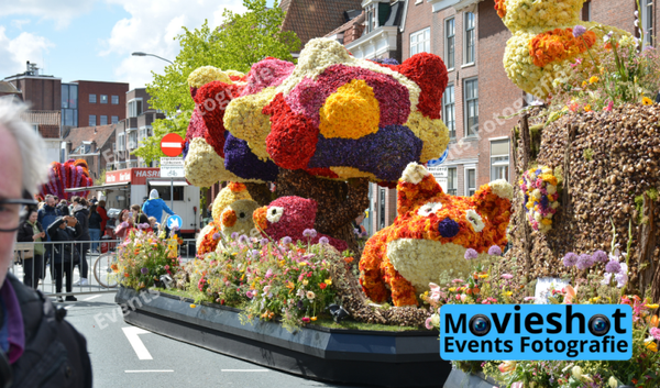 Bloemencorso Haarlem 6