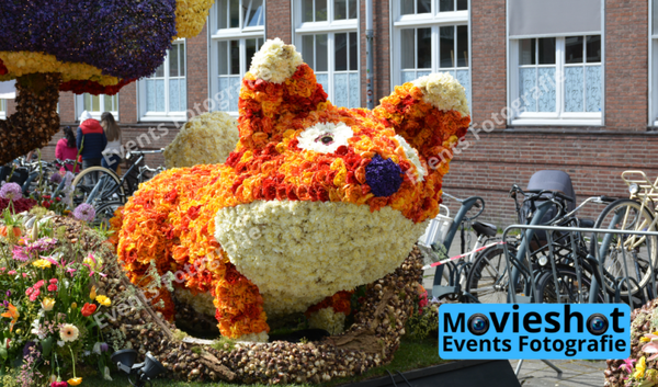 Bloemencorso Haarlem 7