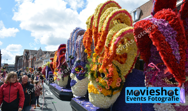 Bloemencorso Haarlem 9
