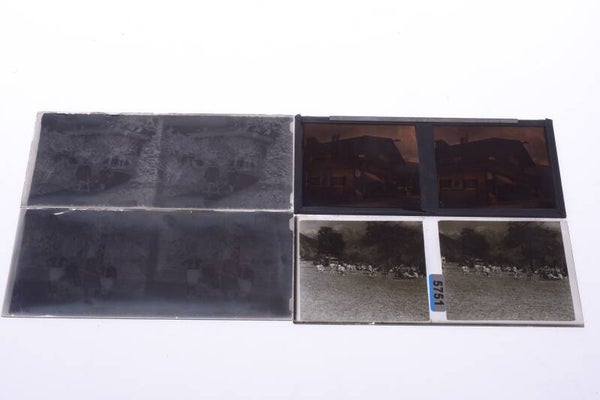 4 ANTIQUE QUALITY STEREO, 1 COLOR, GLASS PLATE IMAGE 60X13CM c.1940