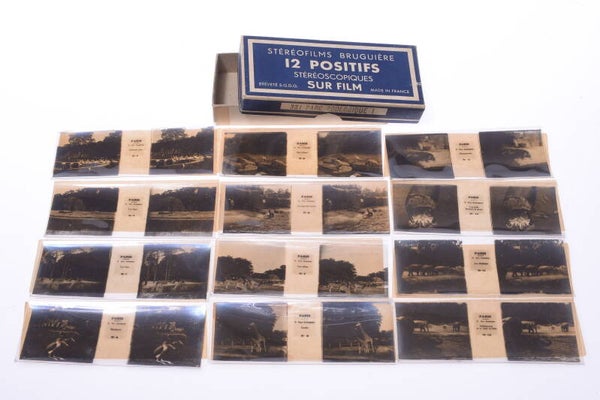 BRUGUIERES POSITIFS 12 ANTIQUE PARC ZOOLOGIQUE STEREO IMAGES PICTURE 45X107MM