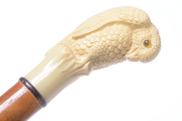 ANTIQUE CANE WALKING STICK IVORINE BIRD HANDLE WOOD SHAFT 91.5CM 36.02”