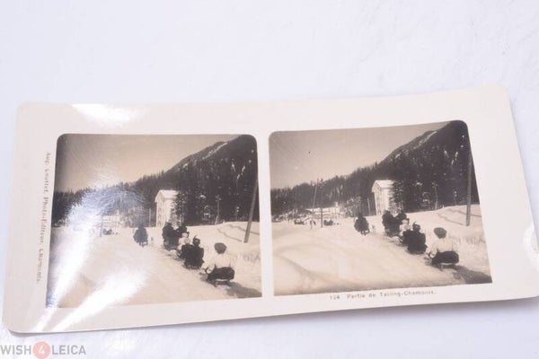VIEW, STEREOVIEWS, 3D PICTURES AUG. COUTTET CHAMONIX *RARE* C. 1900