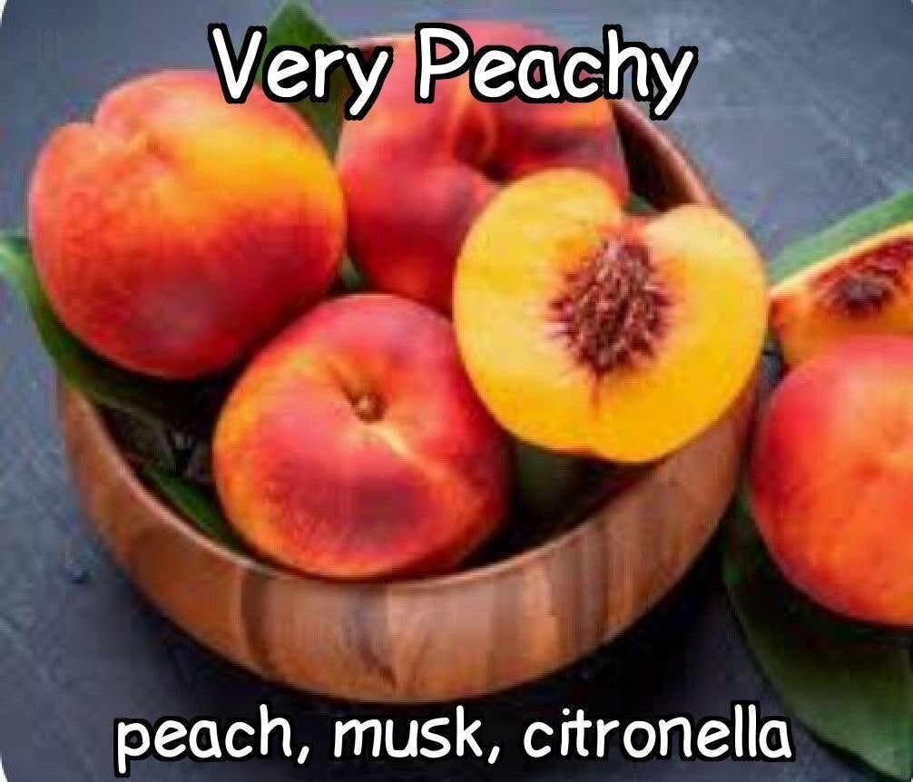 Very Peachy  Wax Melt