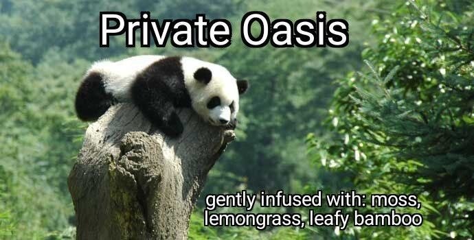 Private Oasis Wax Melt