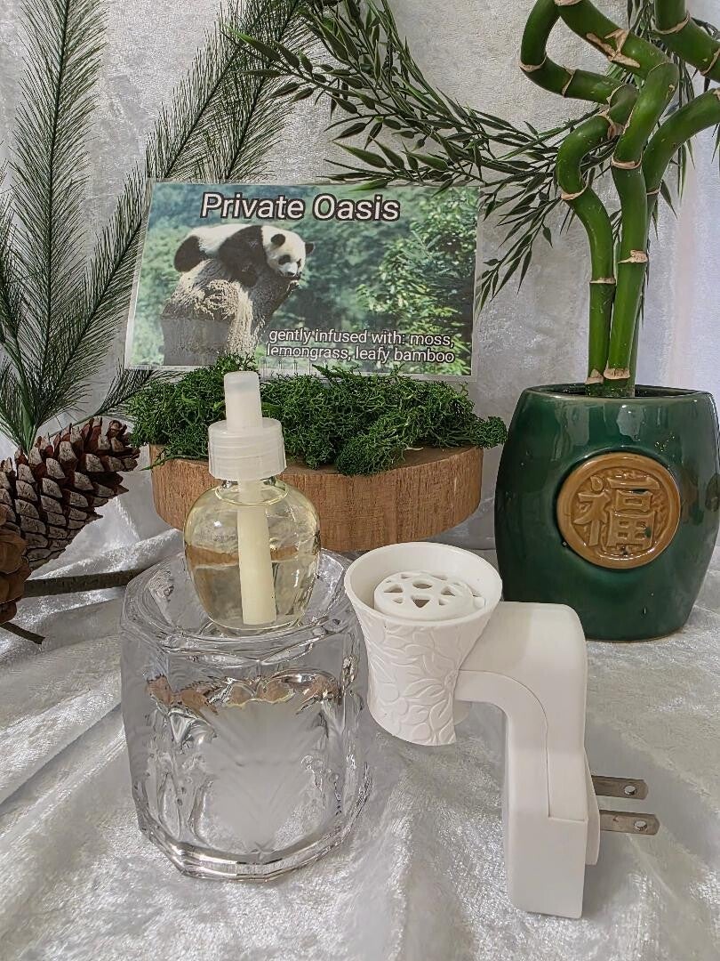 Private Oasis plug-in diffuser