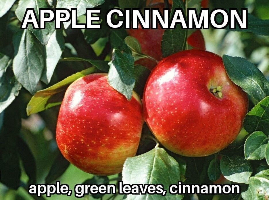 Apple Cinnamon Wax Melt