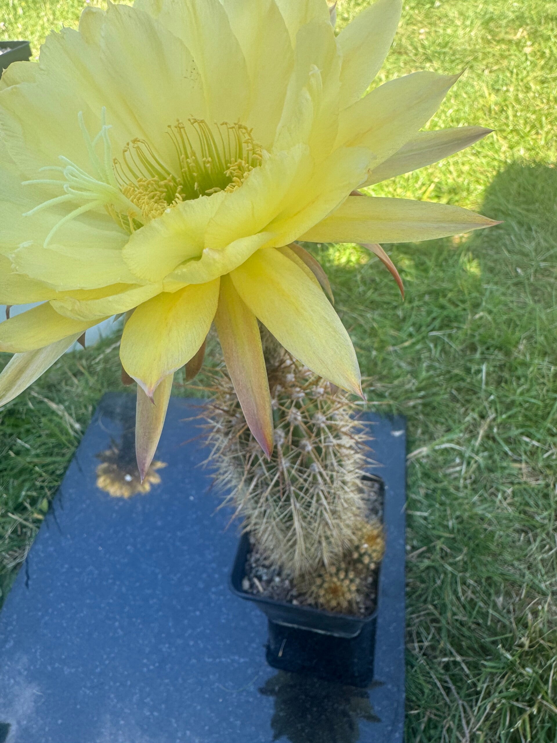 KA.2019.0176.CHK.007