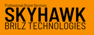 Skyhawk Brilz Technologies