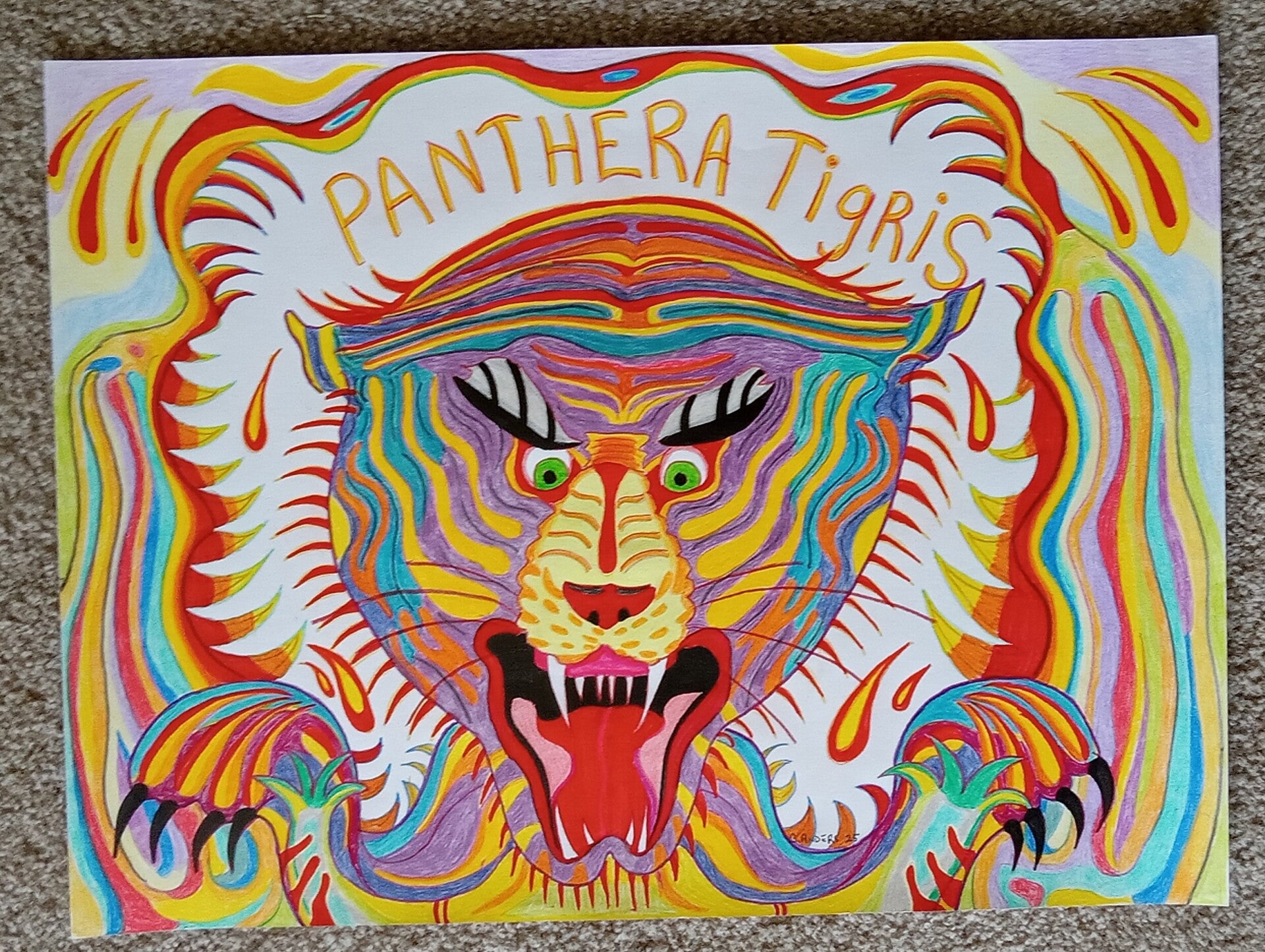 Tigris Panthera