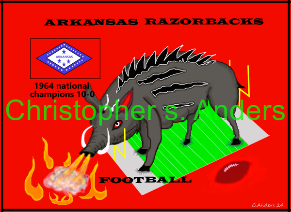 Arkansas Razorbacks