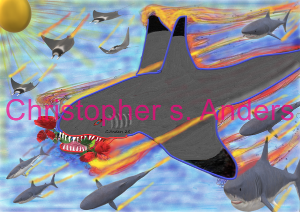 Black tipped reefer shark