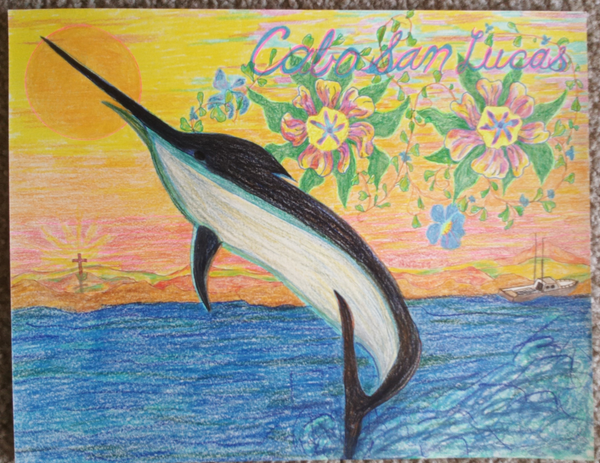 Cabo San Lucas black marlins