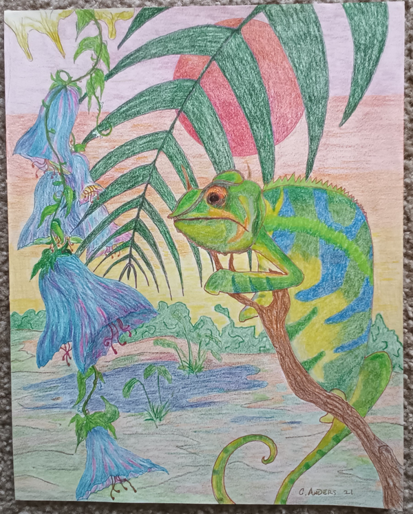 chameleon on branch with bluebells