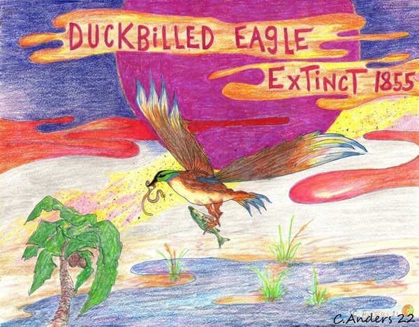 Duckbilled Eagle